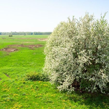 White Camomile Condo Šventoji المظهر الخارجي الصورة